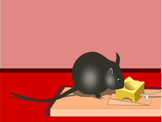 Victor Rat Traps vs Rodent Stoppers