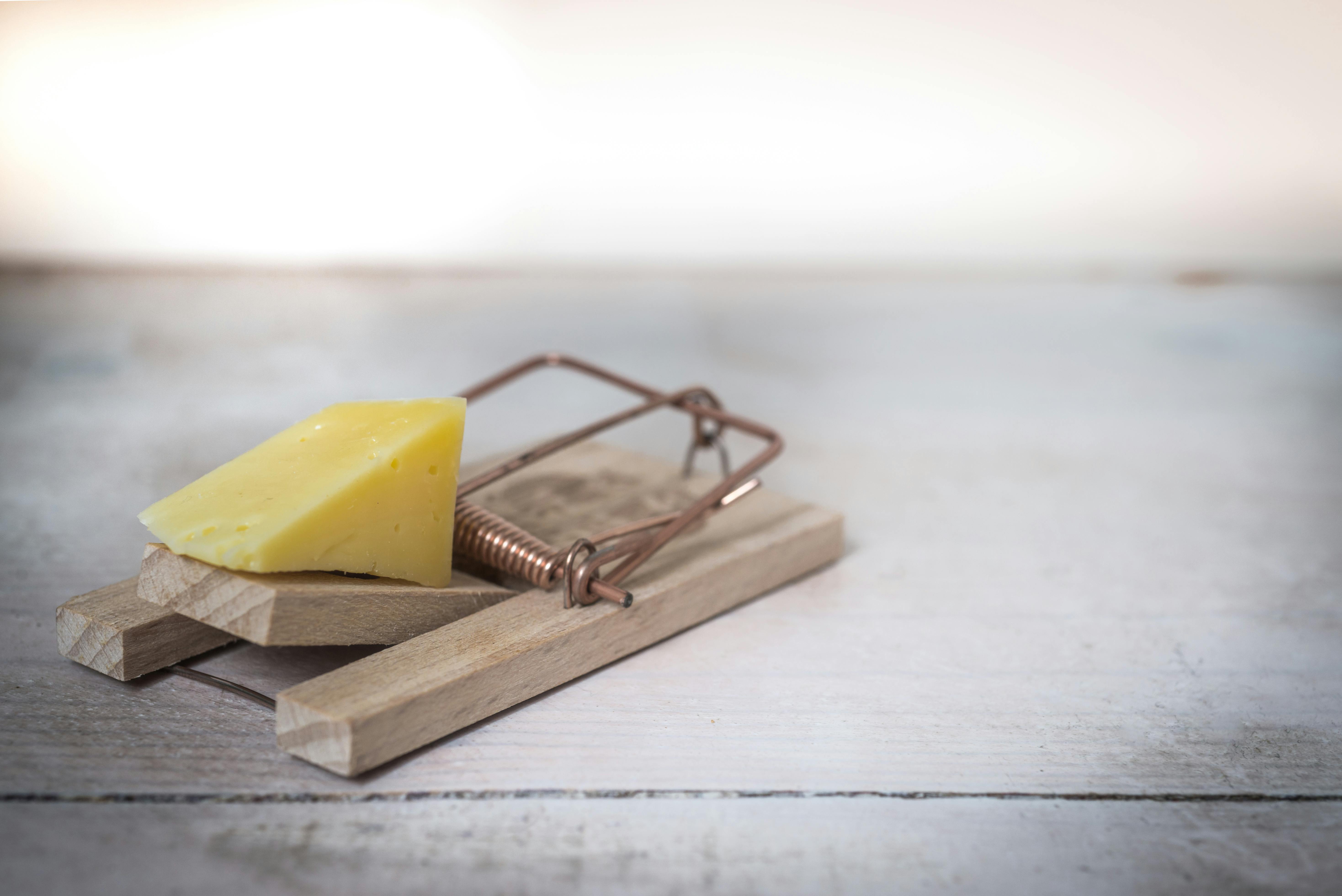 Home Depot Rat Traps Alternatives for Large Rats