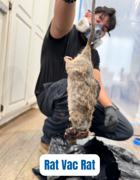 Effective pest control catch