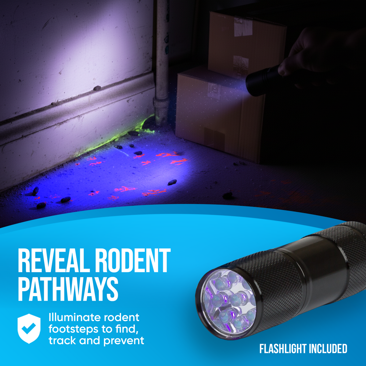 Tracking Rodent Flour Using UV Rodent Tracking Powder with UV Flashlight