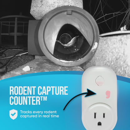 Rat Vac | Automatic Multi-Catch Rat & Mouse Catcher