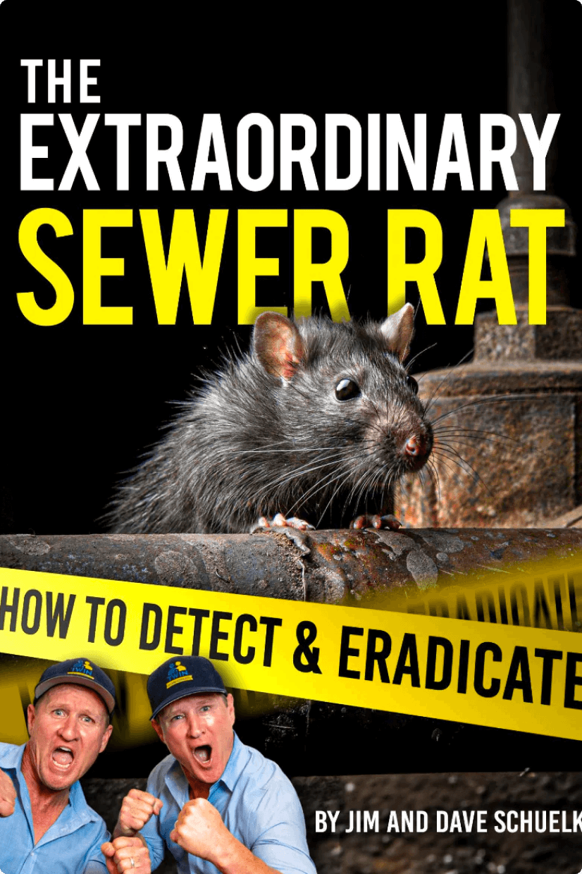 The Extraordinary Sewer Rat Ebook - Rodent Stoppers