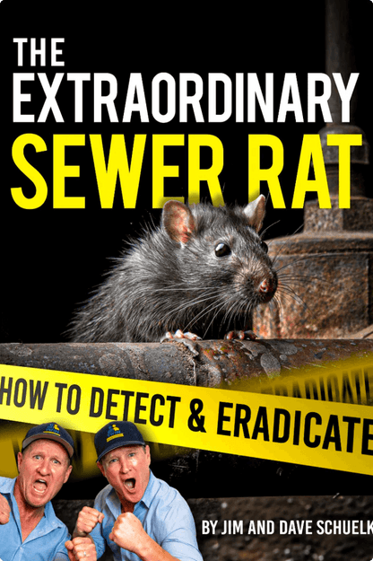 The Extraordinary Sewer Rat Ebook - Rodent Stoppers